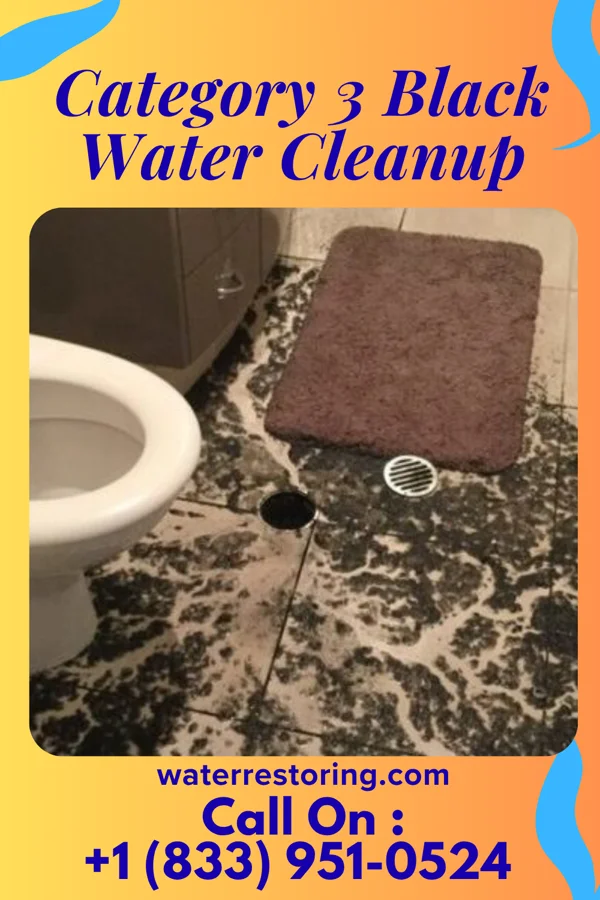 Category 3 Black Water Cleanup in Dongola, IL