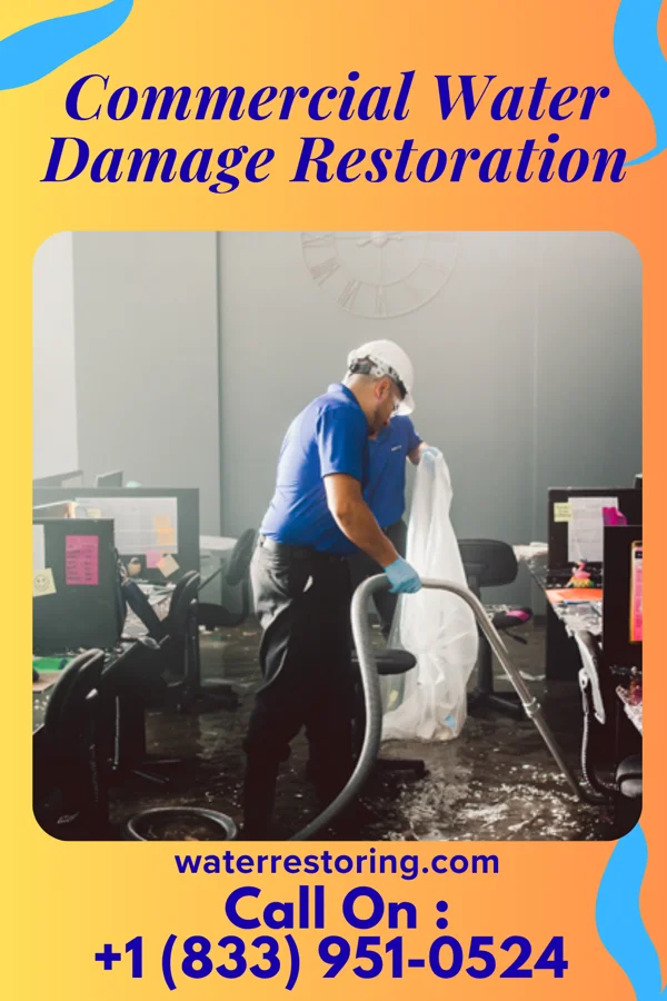 Commercial Water Damage Restoration in Dongola, IL