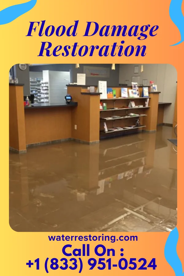 Flood Damage Restoration in Dongola, IL