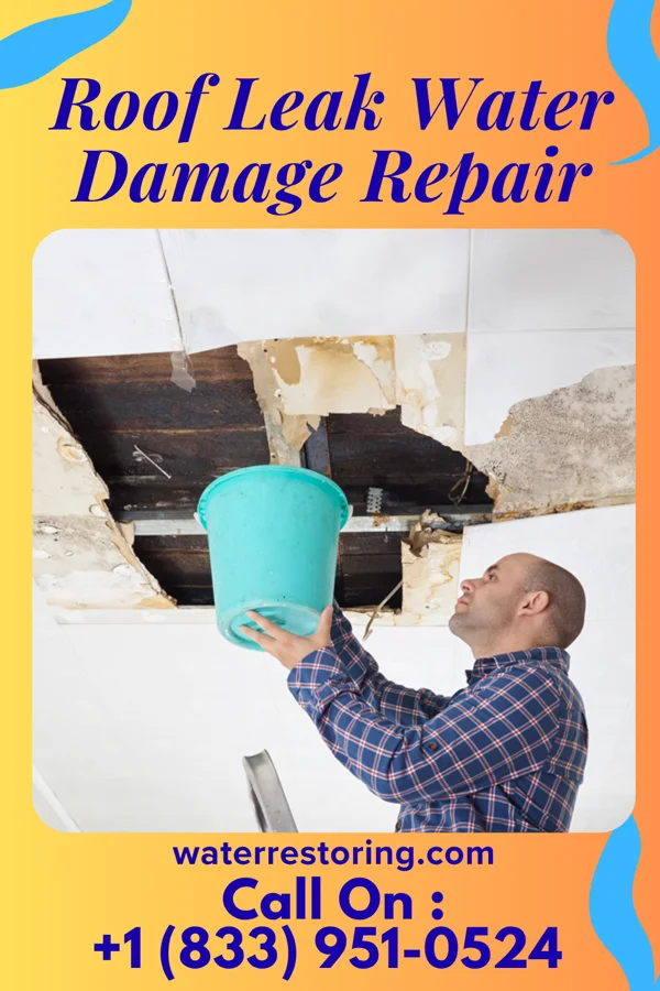 Roof Leak Water Damage Repair in Dongola, IL