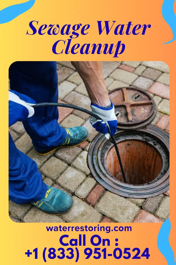 Sewage Water Cleanup in Dongola, IL